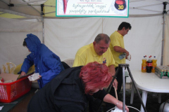 Kalocsai főzőverseny 2010
